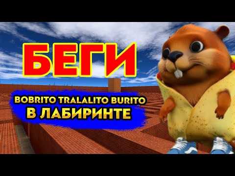 Видео: Убегаем от BOBRITO TRALALITO BURITO в ЛАБИРИНТЕ GARRY'S MOD