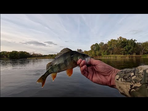 Видео: Осенняя рыбалка на малых реках Самарской области!
