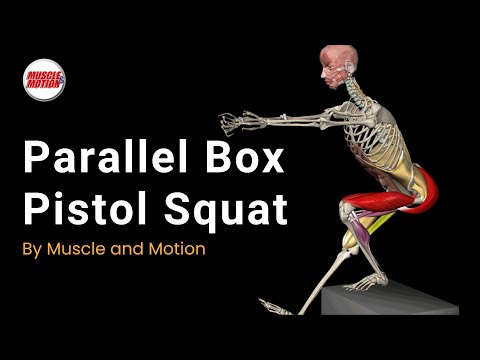 Видео: Приседания «пистолет» на параллельном ящике: целевые мышцы и основные советы