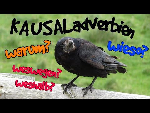 Видео: Die KAUSALadverbien / Наречията за причина в немския език (A2, B1)
