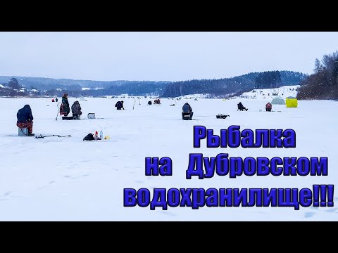 Видео: Зимняя рыбалка на Дубровском водохранилище. Ловля подлещика зимой в палатке.