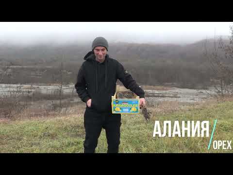 Видео: Воздух - вместо удобрения. Часть 1.