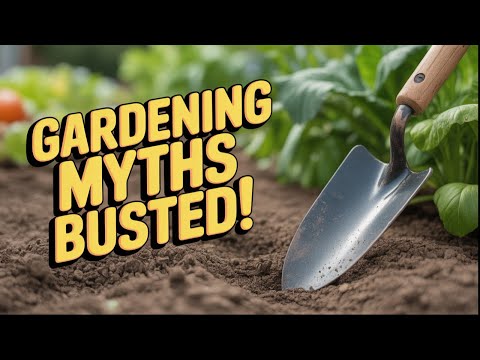 Видео: Ошибки дачников, которые могут стоить урожая!