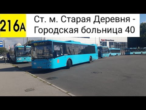Видео: Автобус 216А. Ст. м. Старая Деревня - Городская больница 40