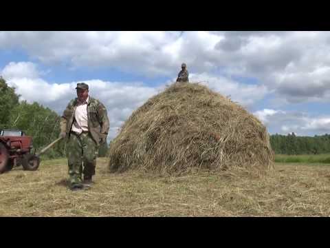 Видео: Сенокос по сибирский. 2 часть. т-25 сломался.