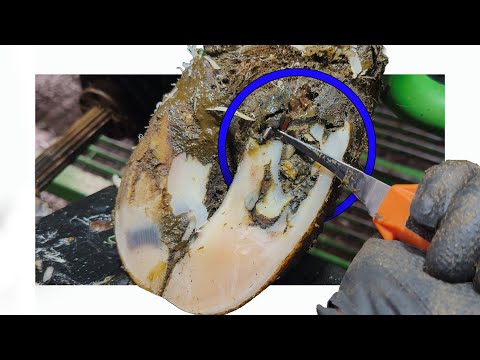 Видео: У нее было НАМНОГО БОЛЬШЕ ПРОБЛЕМ… чем я думал сначала!