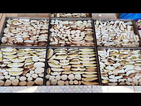 Видео: Як сушити гриби.Білі гриби сушу в домамашніх умовах