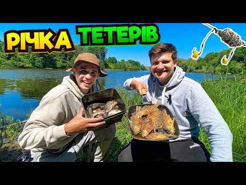 Видео: Дикий карась на ПІНОПЛАСТ, річка Тетерів. Смажений карась!!!!