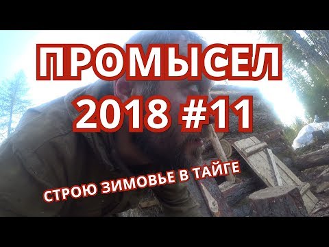 Видео: ПРОМЫСЕЛ 2018  #11. Стройка продолжается. Перегоняю буран и вожу камни.