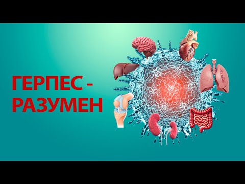 Видео: А герпес то разумен!