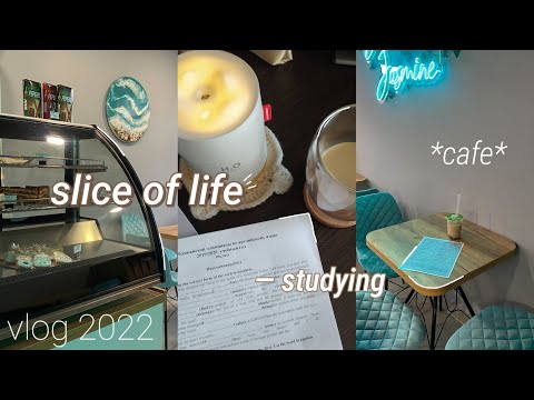 Видео: slice of life | новое кафе, учеба, утро перед школой | ВЛОГ 2022