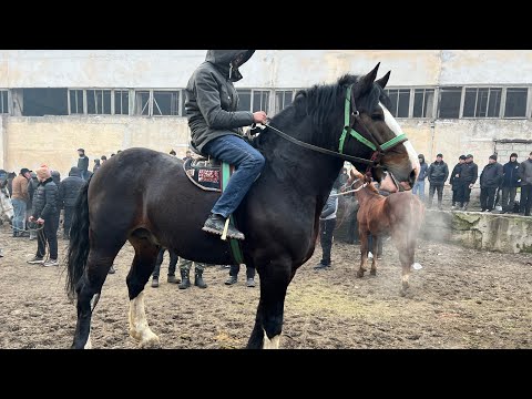 Видео: 1МЛН ПРАСМОТР АСПБОЗОРИ ЛЕНИНСКИЙ РАЙОН 😱🚨НАРХО КИМАТ ШИД СРОЧНО 🚨15:01:2025
