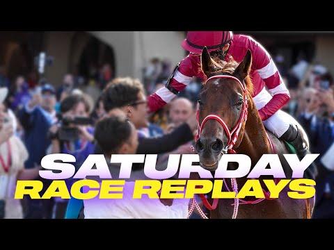 Видео: Кубок заводчиков 2025 — гонки по субботам с участием FOREVER YOUNG и BENTORNATO! FOREVER YOUNG