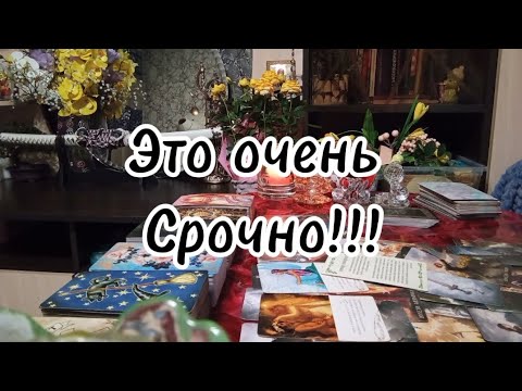 Видео: Срочные новости для Вас ‼️💯🔮🗝️🔥🔥🔥