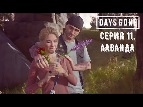 Видео: Days Gone (Жизнь после). Прохождение на PS4. Серия 11. Лаванда.