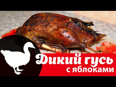 Видео: Дикий гусь, фаршированный яблоками в духовке: видео рецепт как приготовить целиком вкусно и быстро