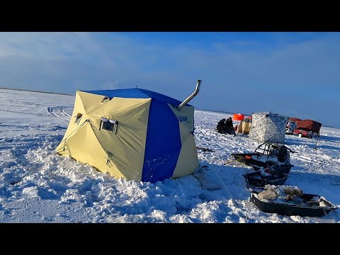 Видео: ОТКРЫЛ СЕЗОН 2023! Я НАШЁЛ ЕГО в ЭТИХ КАМЫШАХ! Ставим ПАЛАТКУ и НАЧАЛОСЬ! ЖИВЁМ НА ЛЬДУ 3-е СУТОК