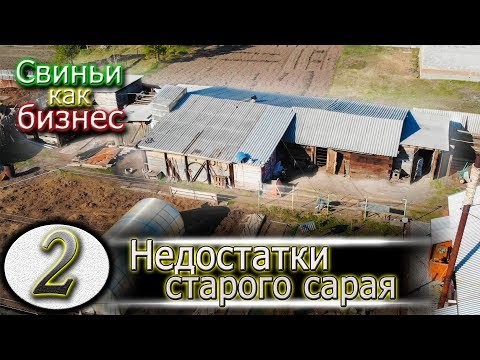 Видео: ОШИБКИ  ПРИ СТРОИТЕЛЬСТВЕ СВИНАРНИКА