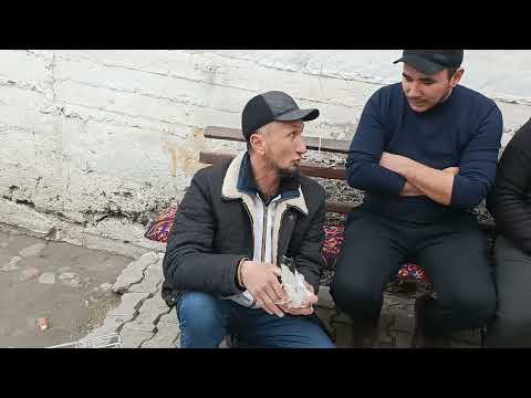 Видео: 13 января 2024 г.