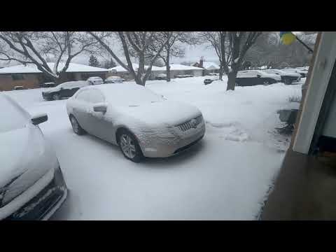 Видео: Зима 2024