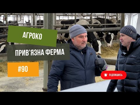 Видео: #90 Бізнес на коровах 🐄. Привʼязна ферма, телята, комбікормовий завод.