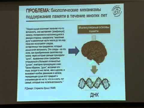 Видео: Константин Анохин - Молекулярная физиология памяти