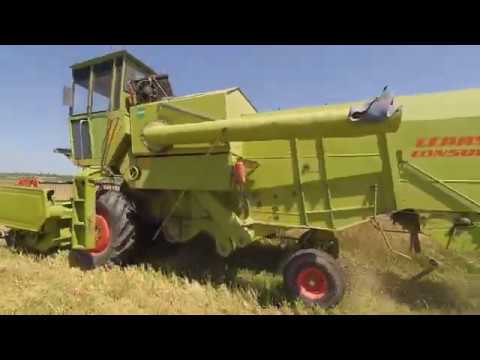 Видео: комбайн claas consul  збирання озимого ячменю