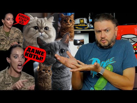 Видео: БУСИФИКАЦИЯ КОТА -  LIVE ▶️