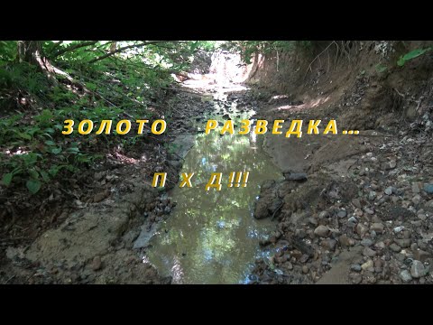 Видео: Золото Разведка... ПХД !!!