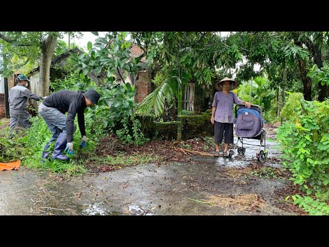 Видео: Помогите одинокой пожилой женщине убрать дом, удивительная трансформация