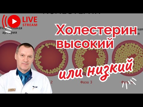 Видео: ХОЛЕСТЕРИН. ВЫСОКИЙ ИЛИ НИЗКИЙ. СТОИТ ЛИ БЕСПОКОИТЬСЯ?
