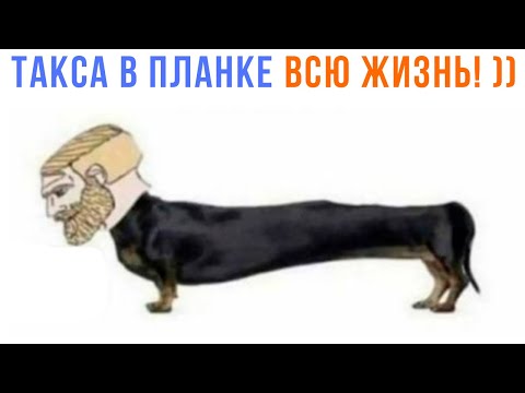 Видео: А ТЫ ТАК СМОЖЕШЬ? ))) Приколы | Мемозг 1416