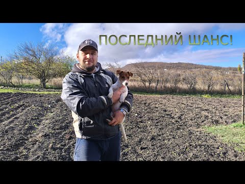 Видео: Последние посадки перед зимой