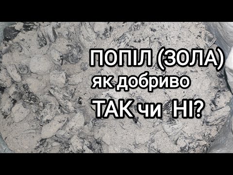 Видео: Попіл або зола  як добриво. Як використовувати, щоб не нашкодити? #добрива#попіл#екоземлеробство