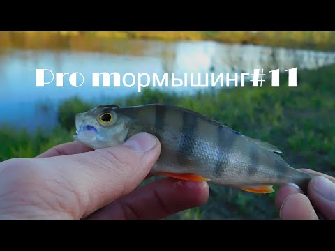 Видео: Pro mормышинг#11/плотва/язь/уклейка/окунь/елец/ NanoUltralight Fishing