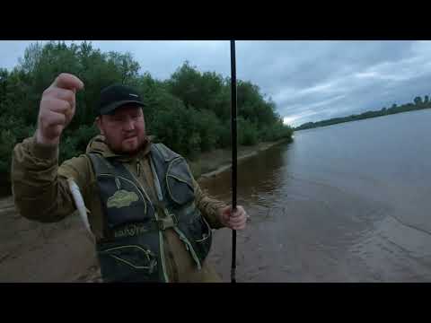 Видео: Рыбалка на фидер 2022. Река Вятка.