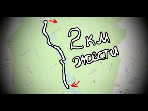 Видео: Ищем экотропу в Гатчине