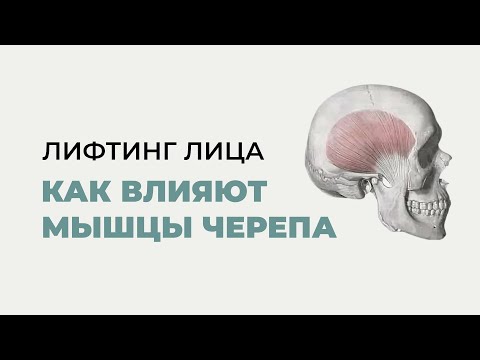 Видео: Хочешь лифтинг лица? Проработай мышцы черепа