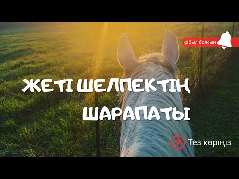 Видео: ЖЕТІ ШЕЛПЕКТІҢ ШАРАПАТЫ