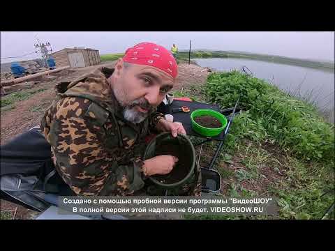 Видео: Прикормка и прочее