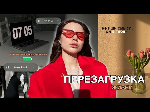 Видео: ДНЕВНИК ЗОЖ / мотивация, растяжка, правильное питание, любимые тренировки