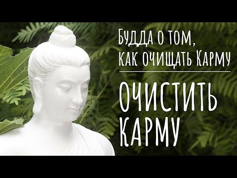 Видео: Как очистить Карму согласно буддизму. Будда о том, как почистить Карму. Очищение Кармы в буддизме.