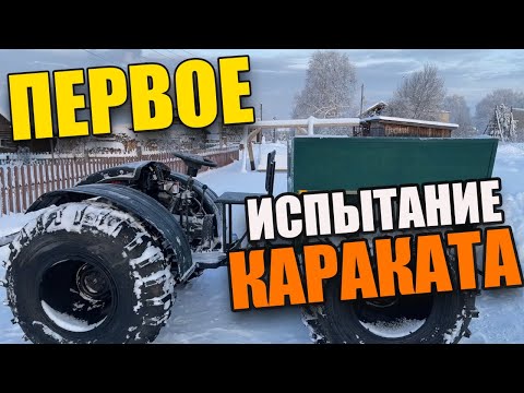 Видео: КУПИЛ КАРАКАТ