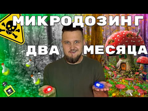 Видео: МУХОМОР ДВА МЕСЯЦА МИКРОДОЗИНГА