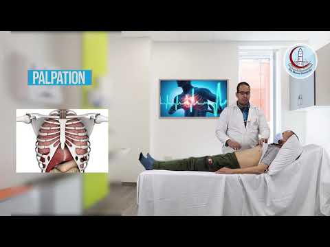 Видео: Обследование кардиологического пациента