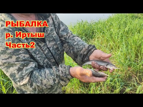 Видео: Рыбалка р. Иртыш. Часть 2