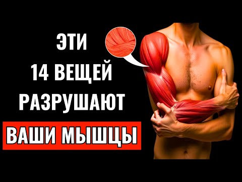 Видео: 14 ВЕЩЕЙ КОТОРЫЕ ВЫЗЫВАЮТ КАТАБОЛИЗМ И ПОТЕРЮ МЫШЕЧНОЙ МАССЫ