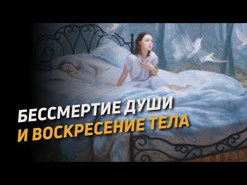 Видео: Бессмертие души (2)