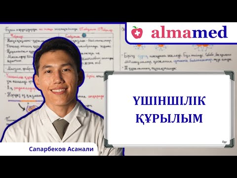 Видео: Үшіншілік құрылым