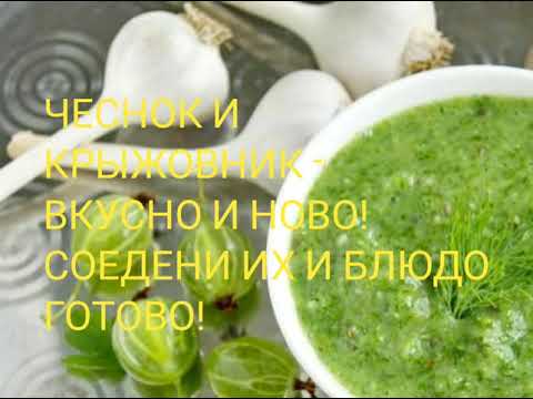 Видео: #Крыжовник#Соус_к мясу#заготовки_на_зиму  ВКУСНЕЙШИЙ СОУС ИЗ КРЫЖОВНИКА НА ЗИМУ